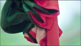 Meet - 17th August 2023